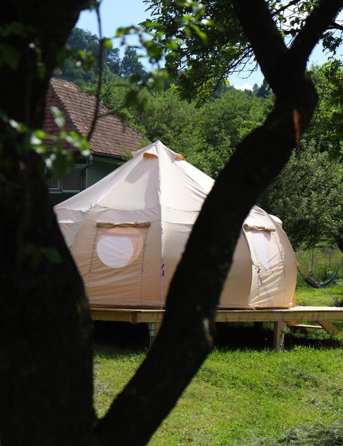 Flore'S Garden Glamping Bran  Exterior photo