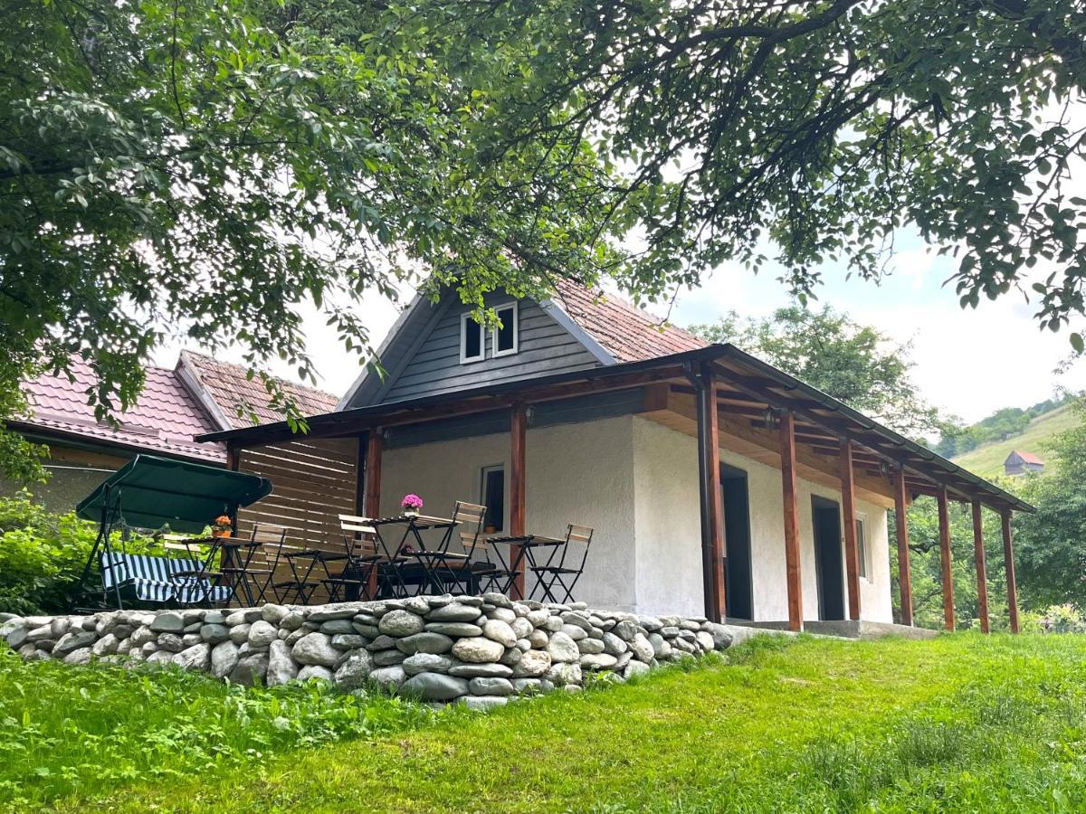 Flore'S Garden Glamping Bran  Exterior photo