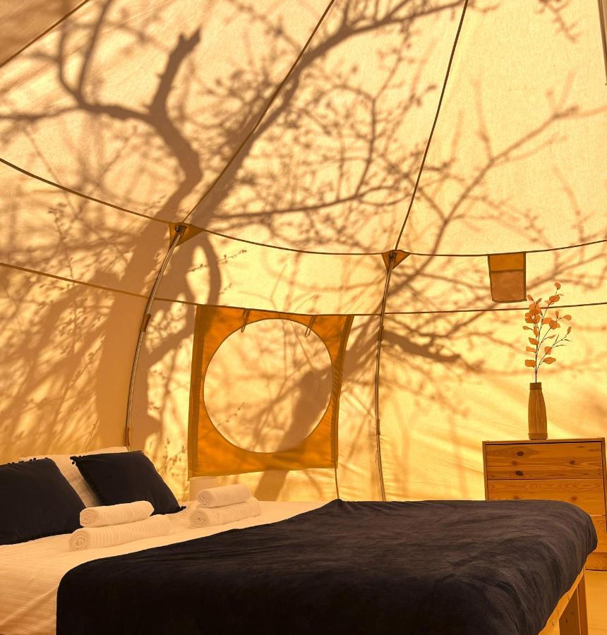 Flore'S Garden Glamping Bran  Exterior photo