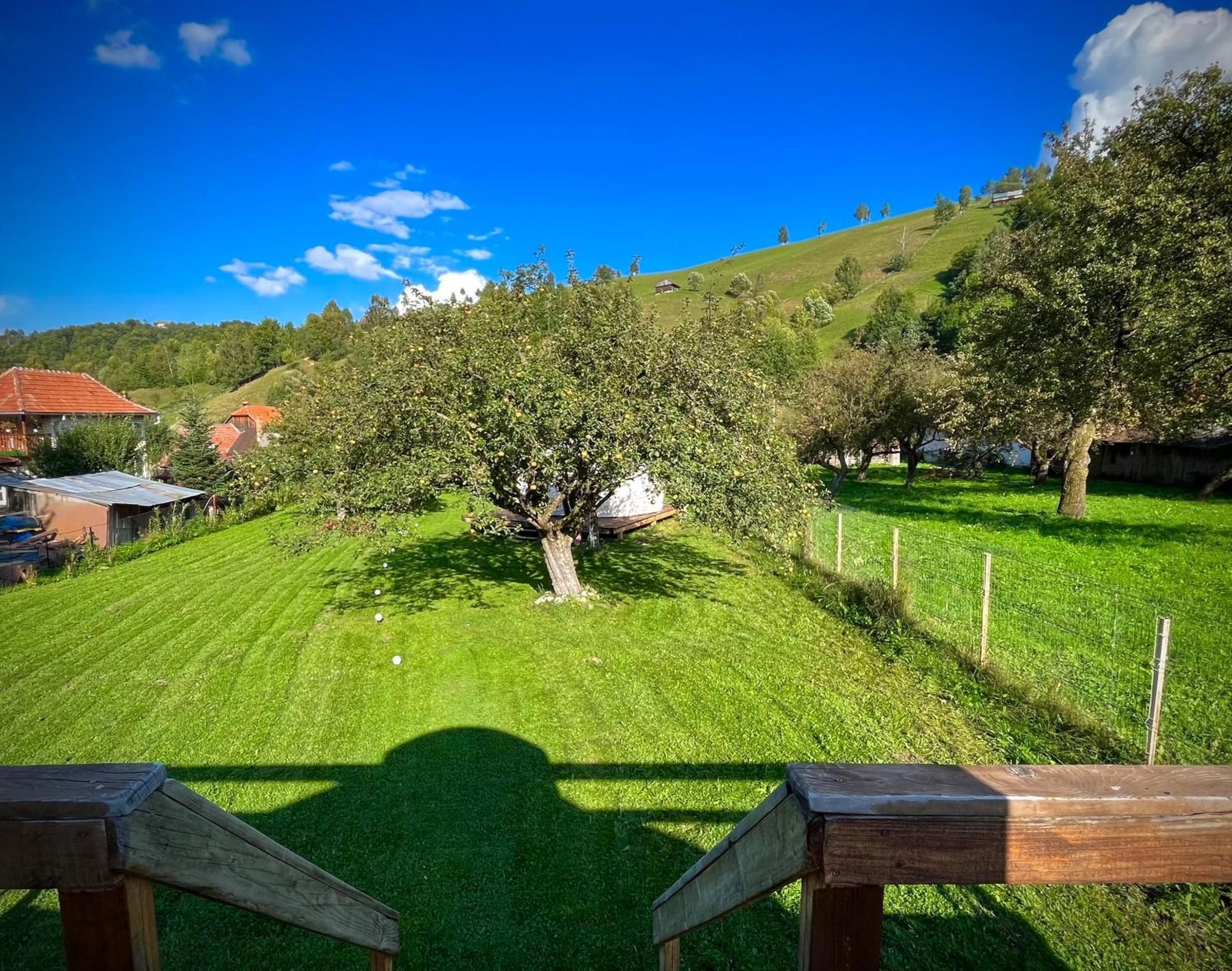 Flore'S Garden Glamping Bran  Exterior photo